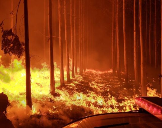 Milei mira para otro lado: más de 37 mil hectáreas en La Patagonia y 100 mil en Corrientes siguen bajo fuego