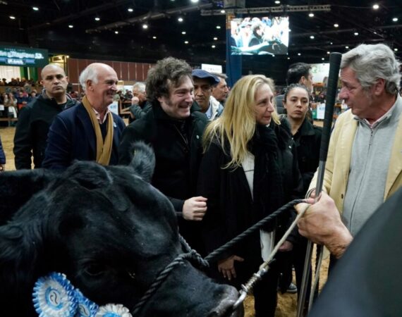 Argentina retrocede al Siglo XIX: el Gobierno habilitó la exportación de ganado vacuno en pie