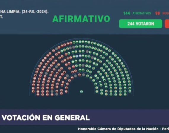 «Ficha Limpia» o el intento de que Cristina no pueda ser candidata este año, obtuvo media sanción en Diputados