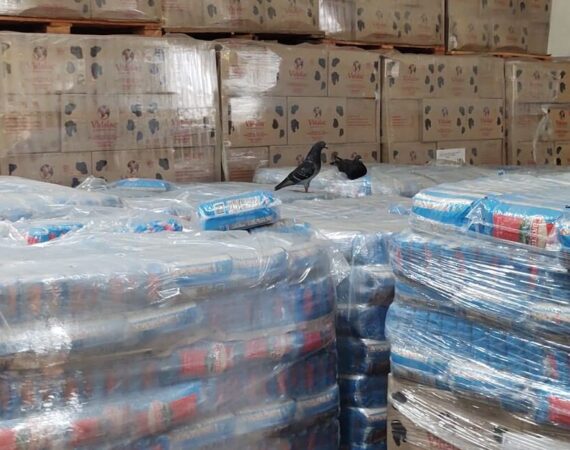 Denuncian que el Ministerio de Capital Humano retiene útiles escolares y más alimentos que están «por pudrirse»