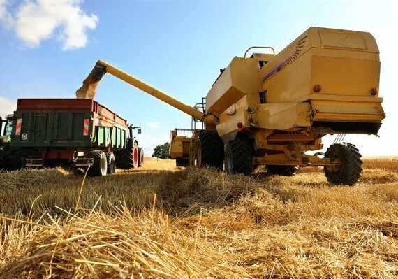 El gran negocio de Caputo para pocos: Las exportadoras Louis Dreyfus Company, Cargill, Bunge, Aceitera General Deheza, Cofco, Molinos Agro y Viterra se quedaron con el 86% de las retenciones a cero