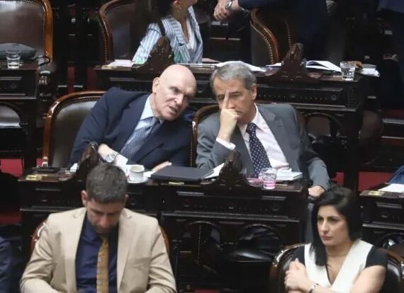 Conocé a los diputados libertarios, PRO, radicales y de bloques provinciales que votaron a favor de los vetos de Milei a las emergencias pediátrica y universitaria