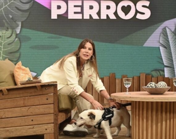 Milei no pega una: la Justicia ordenó que Karina Celia Vázquez encabece la lista de la Alianza LLA/PRO y Santilli va segundo