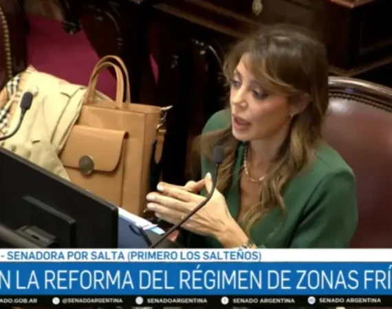 Uno a uno, los nombres de los senadores que votaron contra millones de argentinos recortando beneficios del Régimen de Zona Fría
